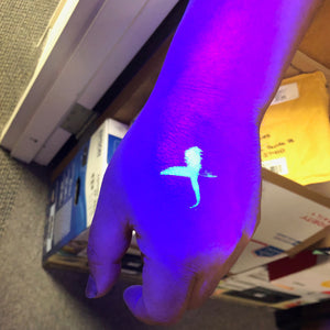 Black Flashlight for Detecting Invisible Ink